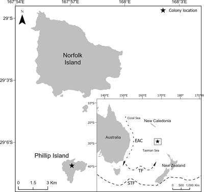 Predicting the Foraging Habitats of Sympatrically Breeding Gadfly Petrels in the South Pacific Ocean